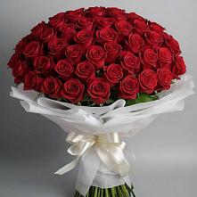 Букет 101 Красная роза Блэк Мэджик #REPLACE_PRED# Афанасьево
