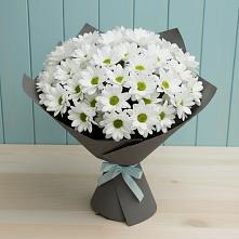 Букет цветов из:  Хризантемы в Афанасьево