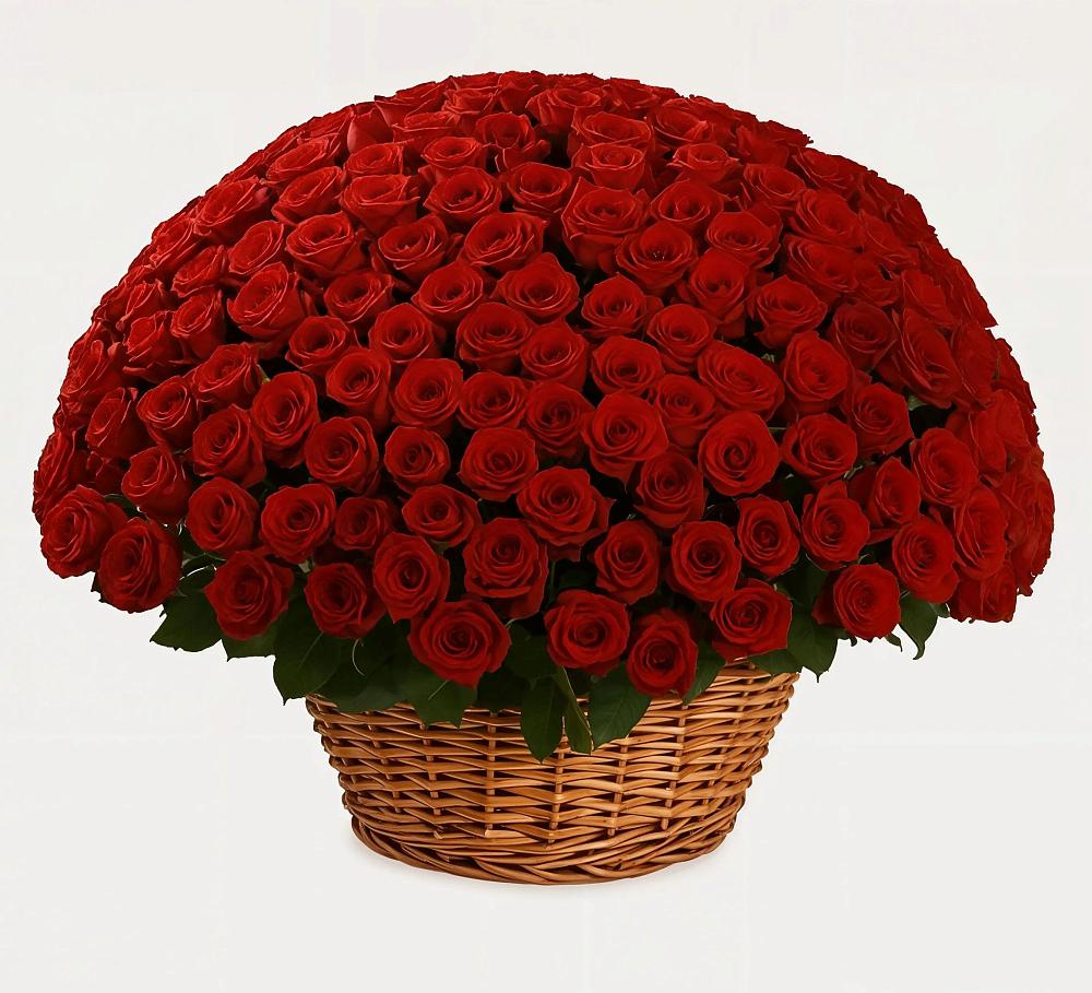 Премиум букет из: Розы в Афанасьево