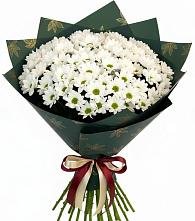 Букет цветов из:  Хризантемы #REPLACE_PRED# Афанасьево