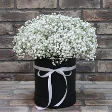 Цветочная композиция из Гипсофила в шляпной коробке в Афанасьево