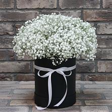 Цветочная композиция из Гипсофила в шляпной коробке в Афанасьево