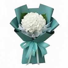 Букет цветов из:  Гортензия в Афанасьево